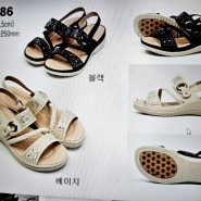 KakaoTalk_20260424_100821975123